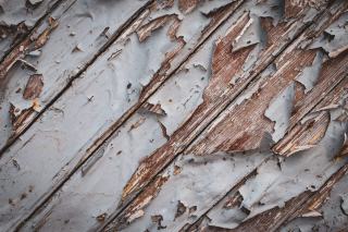 Vieille peinture écaillée qui se détache en lamelles d'une boiserie